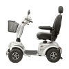 Sneppen el scooter