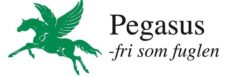 Pegasus Logo 2024