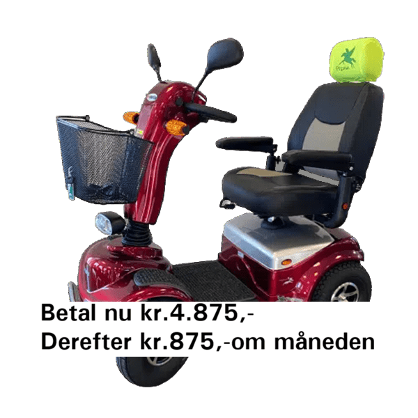 Udlejnings model El scooter Sneppen_6