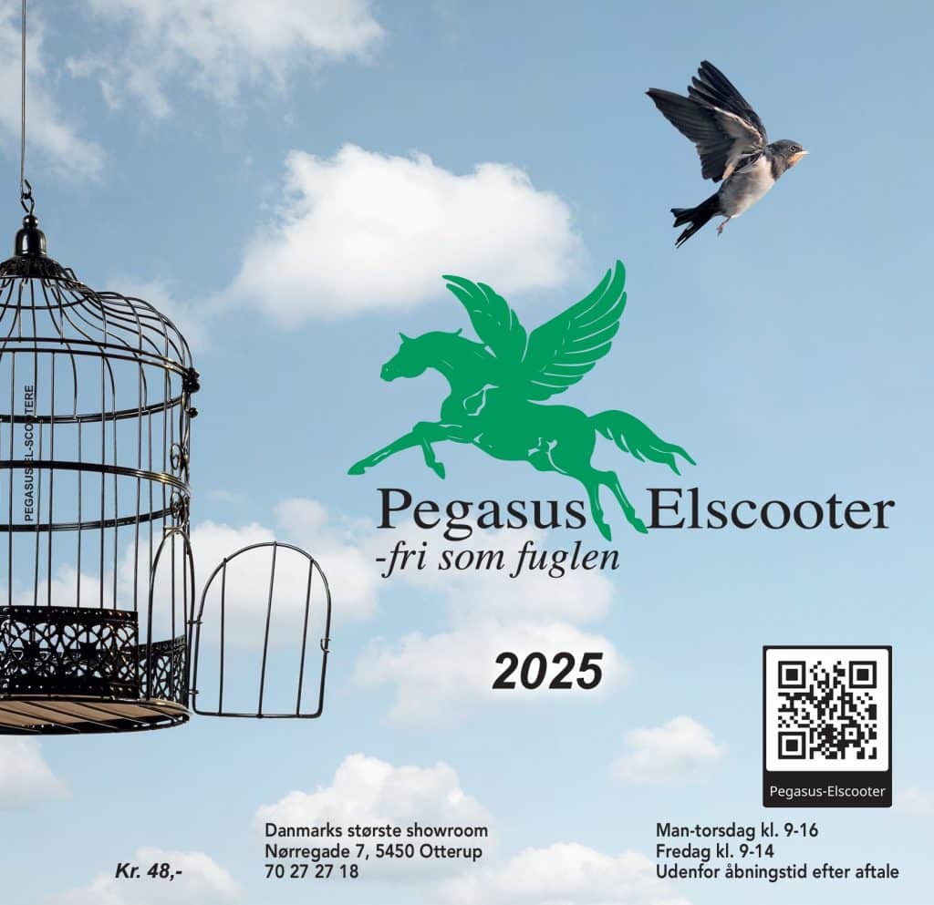 Pegasus El-scooter katalog 2025 omslag Pegasus El-scooter katalog omslag 2025
