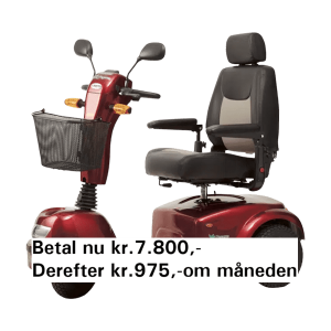 Finansieringsordning Skovdugen rød farve_6