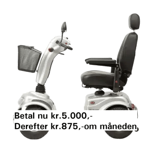 Finansieringsordning Sneppen i grå farve